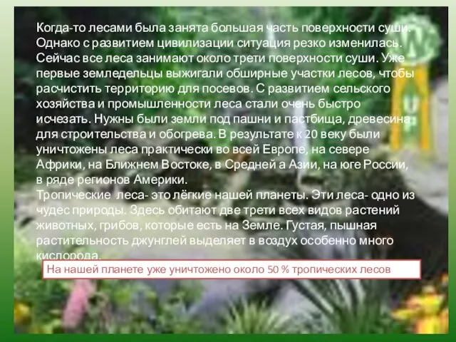 Когда-то лесами была занята большая часть поверхности суши. Однако с развитием цивилизации