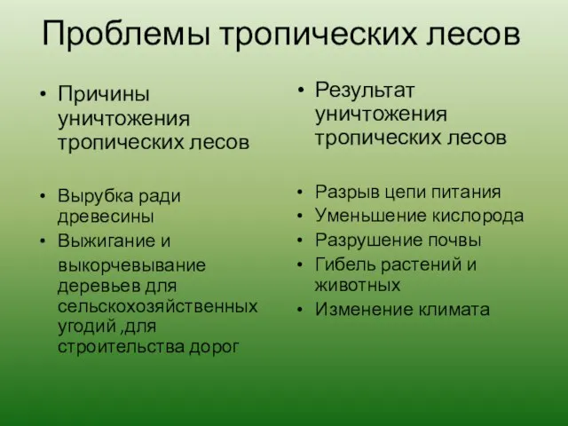 Проблемы тропических лесов Причины уничтожения тропических лесов Вырубка ради древесины Выжигание и