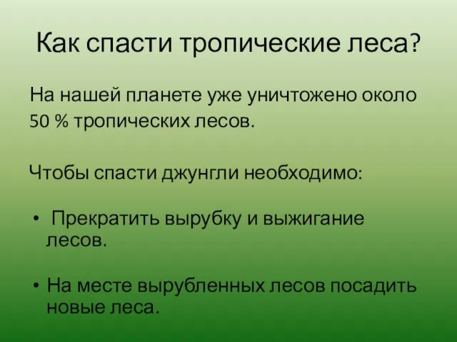 Как спасти тропические леса? На нашей планете уже уничтожено около 50 %