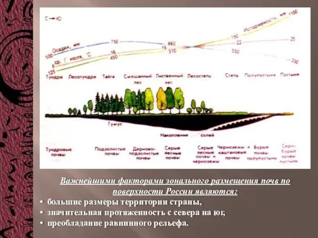 Важнейшими факторами зонального размещения почв по поверхности России являются: большие размеры территории