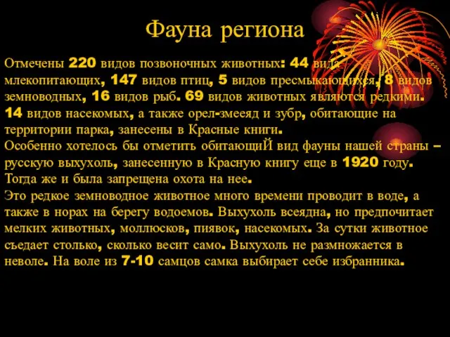 Отмечены 220 видов позвоночных животных: 44 вида млекопитающих, 147 видов птиц, 5