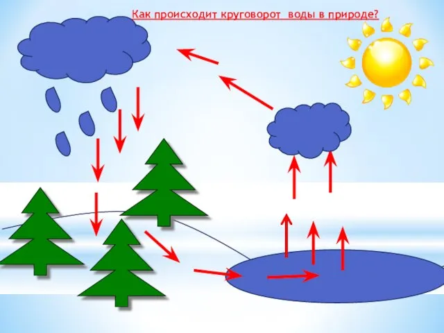 Как происходит круговорот воды в природе?