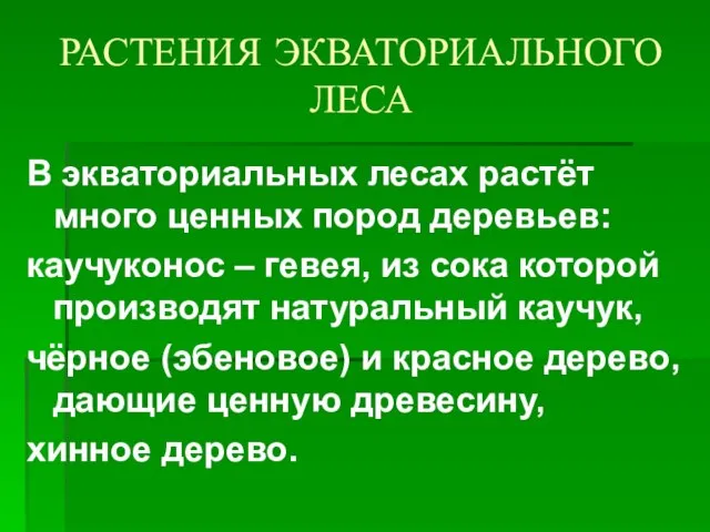 РАСТЕНИЯ ЭКВАТОРИАЛЬНОГО ЛЕСА В экваториальных лесах растёт много ценных пород деревьев: каучуконос