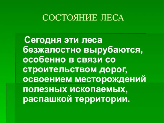 СОСТОЯНИЕ ЛЕСА Сегодня эти леса безжалостно вырубаются, особенно в связи со строительством