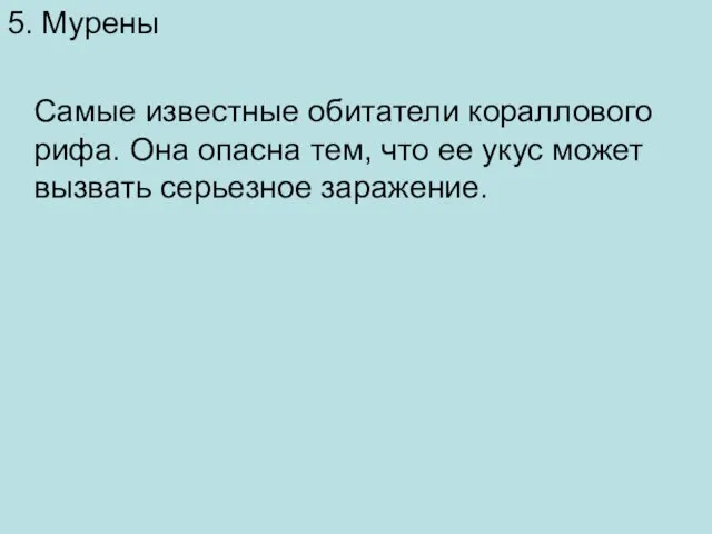 5. Мурены Самые известные обитатели кораллового рифа. Она опасна тем, что ее