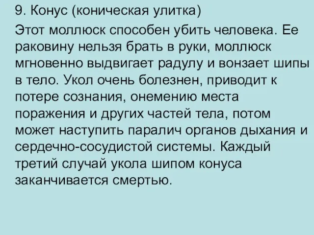 9. Конус (коническая улитка) Этот моллюск способен убить человека. Ее раковину нельзя