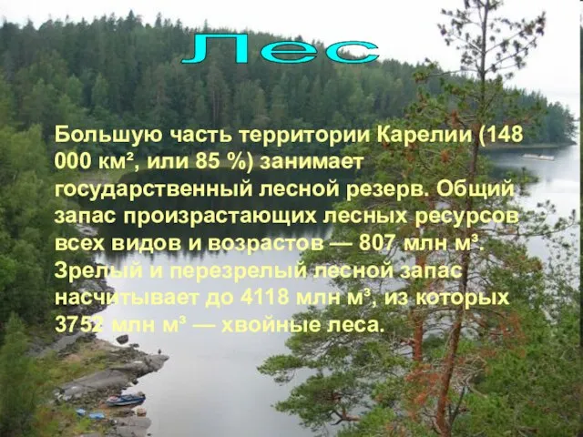 Большую часть территории Карелии (148 000 км², или 85 %) занимает государственный