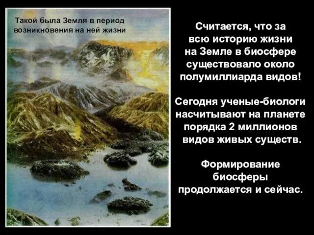 Считается, что за всю историю жизни на Земле в биосфере существовало около