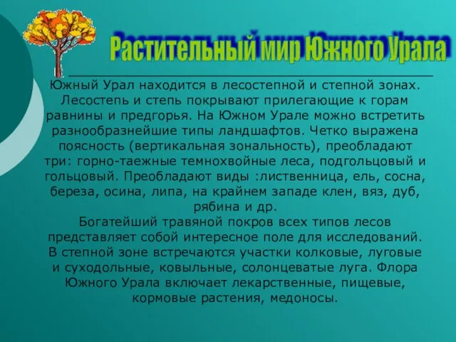 Растительный мир Южного Урала Южный Урал находится в лесостепной и степной зонах.