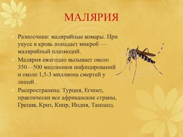МАЛЯРИЯ Разносчики: малярийные комары. При укусе в кровь попадает микроб — малярийный