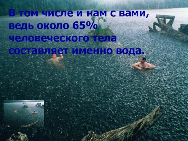 В том числе и нам с вами, ведь около 65% человеческого тела составляет именно вода.