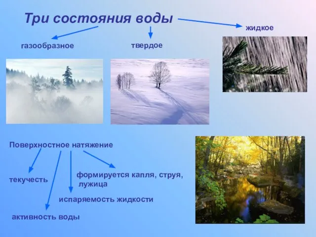 Три состояния воды Поверхностное натяжение газообразное твердое жидкое формируется капля, струя, лужица