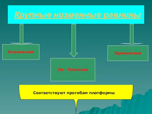 Крупные низменные равнины Амазонская Ла - Платская Оринокская Соответствуют прогибам платформы