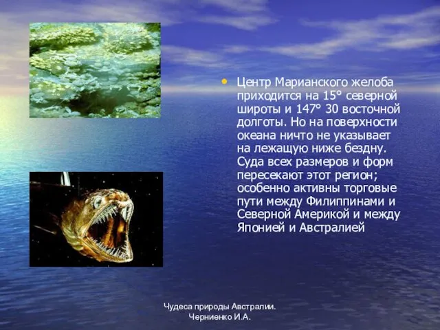 Чудеса природы Австралии. Черниенко И.А. Центр Марианского желоба приходится на 15° северной