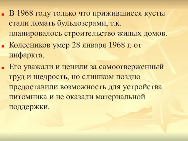 В 1968 году только что прижившиеся кусты стали ломать бульдозерами, т.к. планировалось