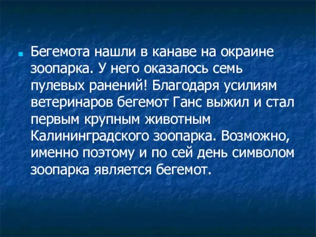 Бегемота нашли в канаве на окраине зоопарка. У него оказалось семь пулевых