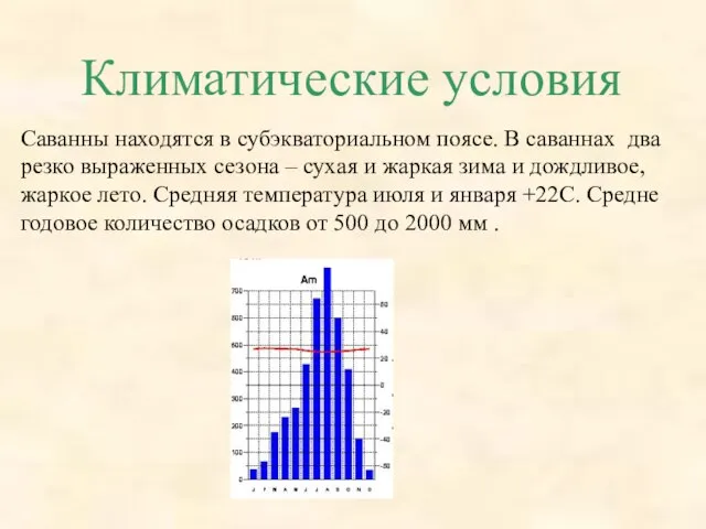 Климатические условия Саванны находятся в субэкваториальном поясе. В саваннах два резко выраженных