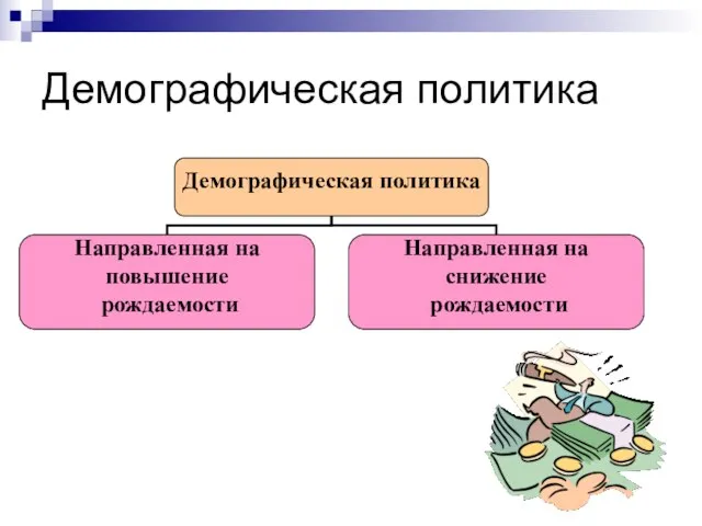 Демографическая политика