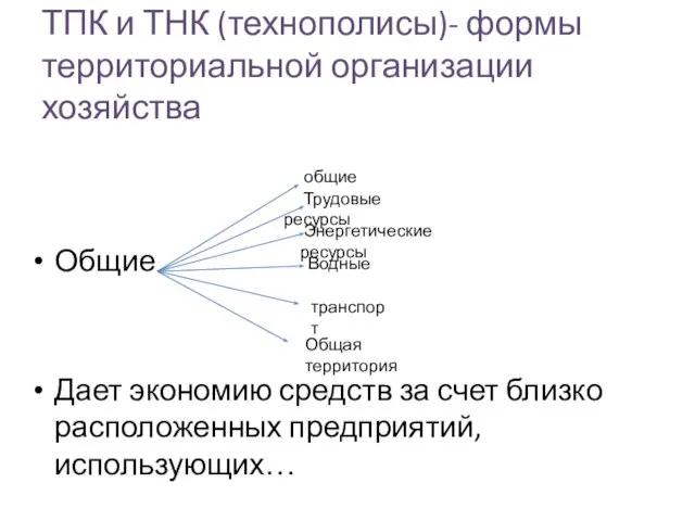 ТПК и ТНК (технополисы)- формы территориальной организации хозяйства Общие Дает экономию средств