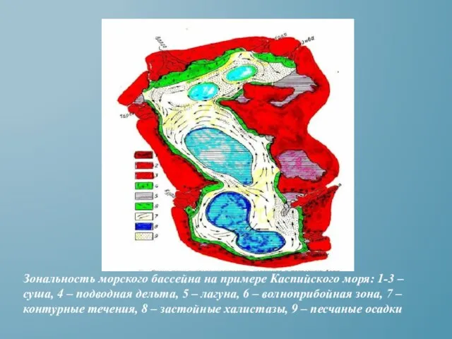 Зональность морского бассейна на примере Каспийского моря: 1-3 – суша, 4 –
