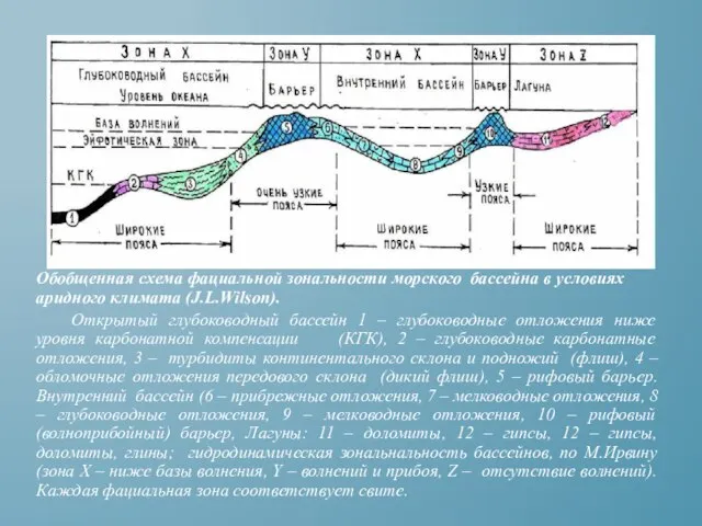 Обобщенная схема фациальной зональности морского бассейна в условиях аридного климата (J.L.Wilson). Открытый
