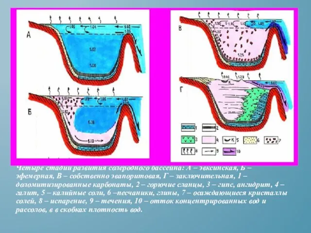 Четыре стадии развития солеродного бассейна: А – эвксинская, Б – эфемерная, В