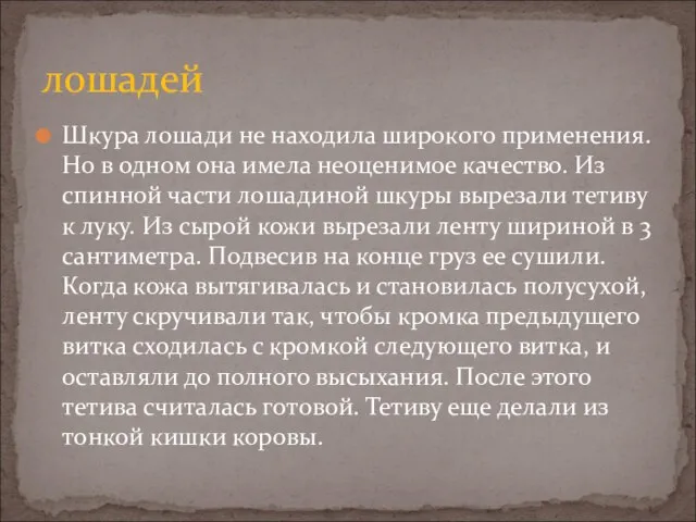 Шкура лошади не находила широкого применения. Но в одном она имела неоценимое