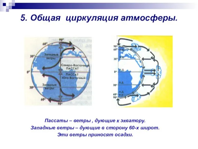 5. Общая циркуляция атмосферы. Пассаты – ветры , дующие к экватору. Западные