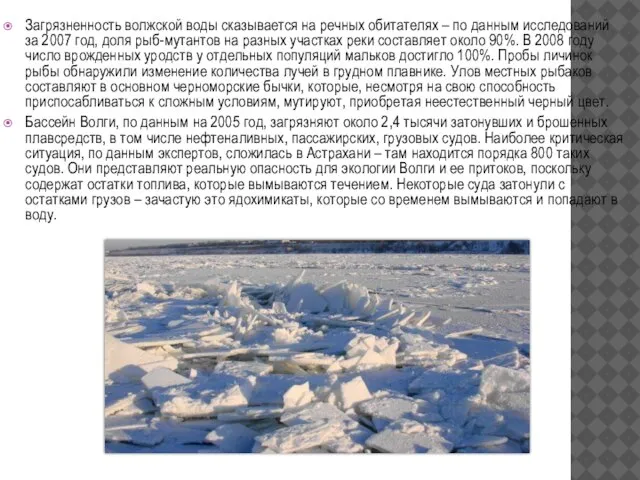 Загрязненность волжской воды сказывается на речных обитателях – по данным исследований за