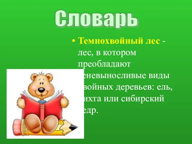 Темнохвойный лес - лес, в котором преобладают теневыносливые виды хвойных деревьев: ель,