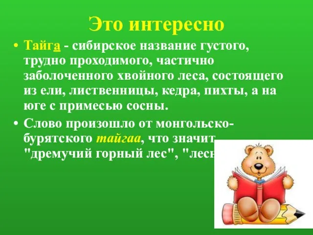 Это интересно Тайга - сибирское название густого, трудно проходимого, частично заболоченного хвойного