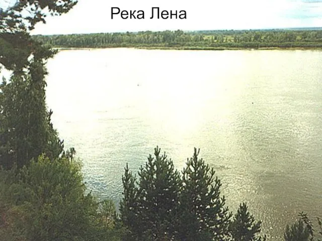 Река Лена