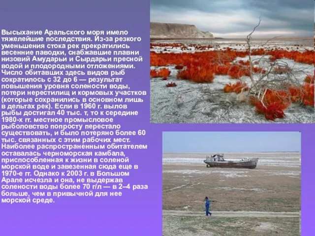 Высыхание Аральского моря имело тяжелейшие последствия. Из-за резкого уменьшения стока рек прекратились