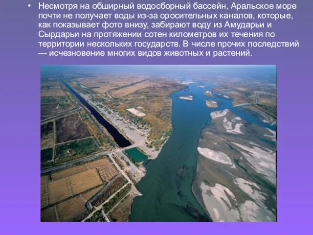 Несмотря на обширный водосборный бассейн, Аральское море почти не получает воды из-за