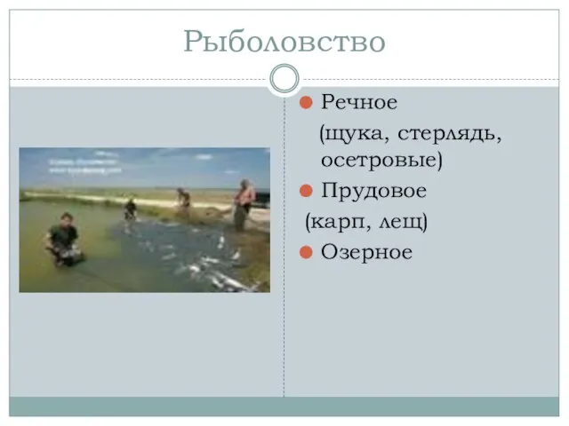 Рыболовство Речное (щука, стерлядь, осетровые) Прудовое (карп, лещ) Озерное