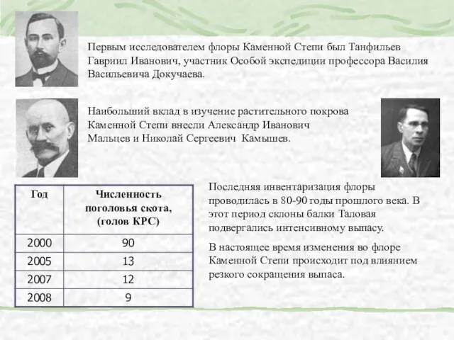 Наибольший вклад в изучение растительного покрова Каменной Степи внесли Александр Иванович Мальцев