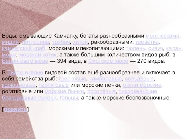 Воды, омывающие Камчатку, богаты разнообразными моллюсками: мидия, литторина, трубач, хитон, ракообразными: креветка,