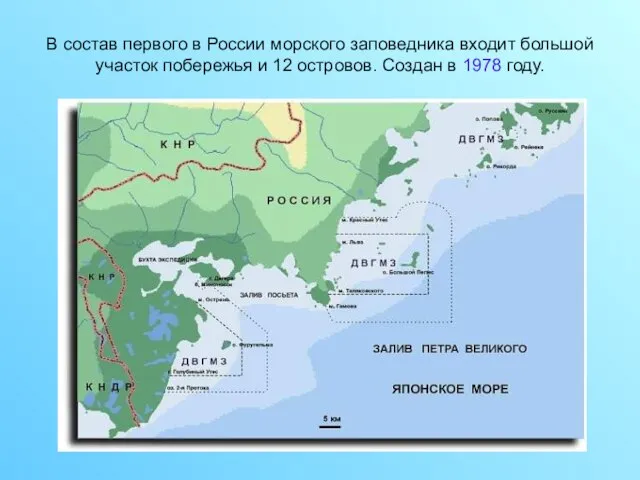 В состав первого в России морского заповедника входит большой участок побережья и