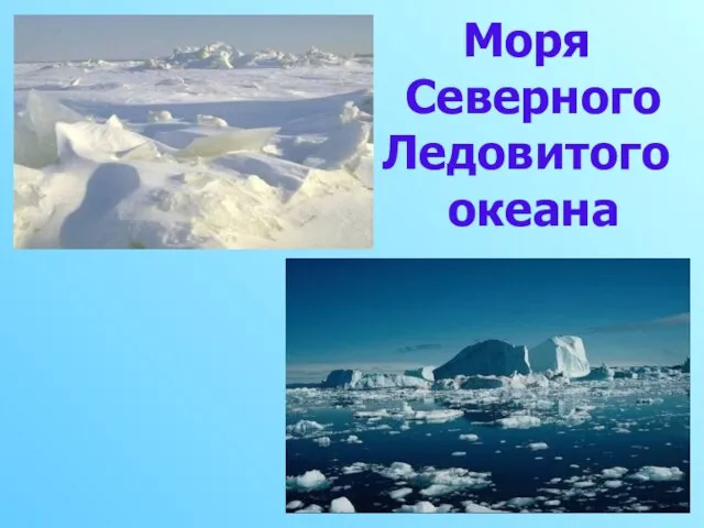 Моря Северного Ледовитого океана