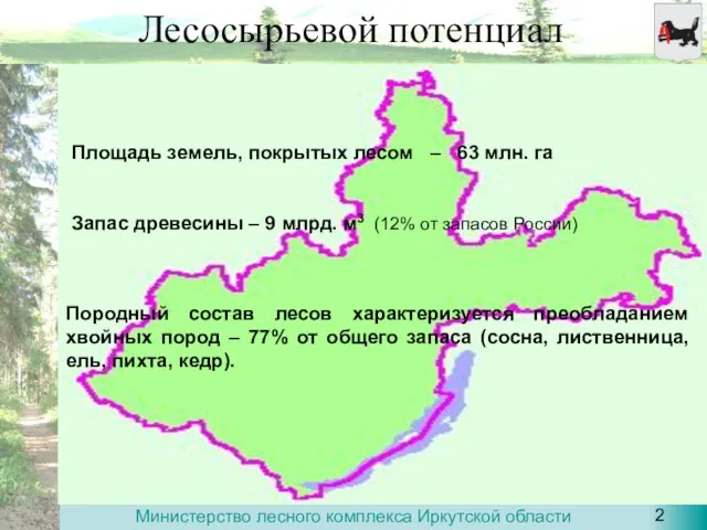 Лесосырьевой потенциал Площадь земель, покрытых лесом – 63 млн. га Запас древесины