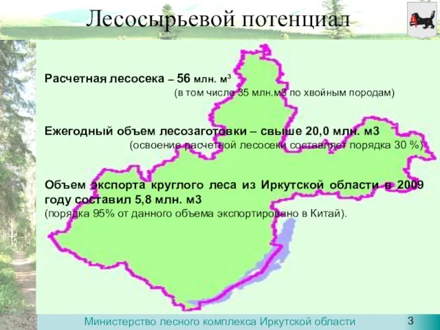 Лесосырьевой потенциал Расчетная лесосека – 56 млн. м3 (в том числе 35