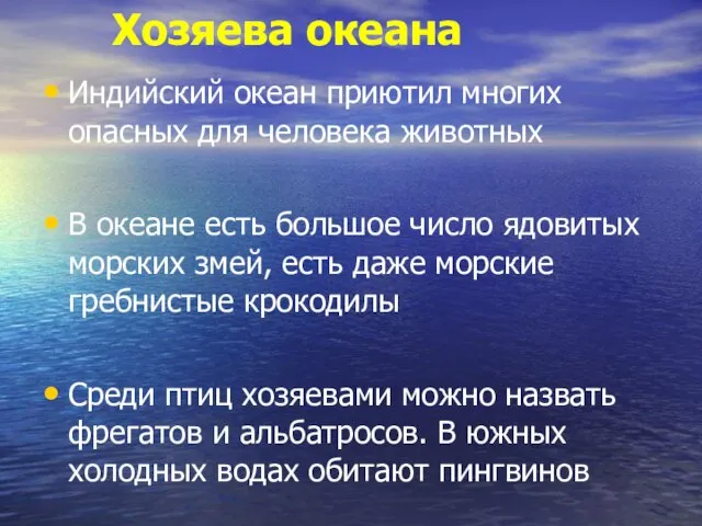 Хозяева океана Индийский океан приютил многих опасных для человека животных В океане