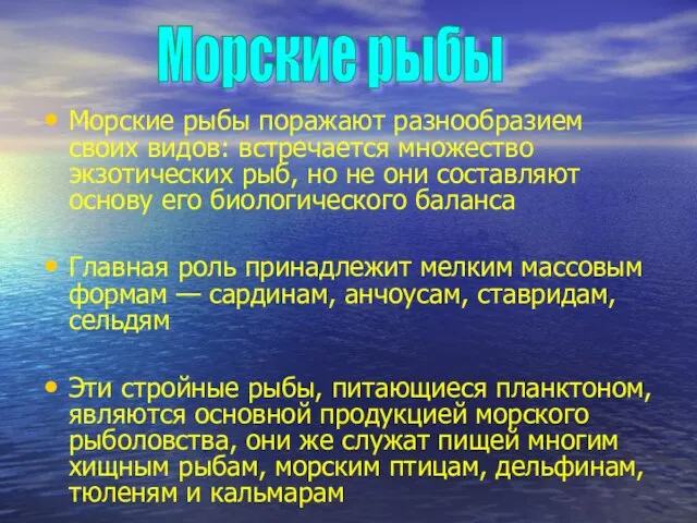 Морские рыбы поражают разнообразием своих видов: встречается множество экзотических рыб, но не