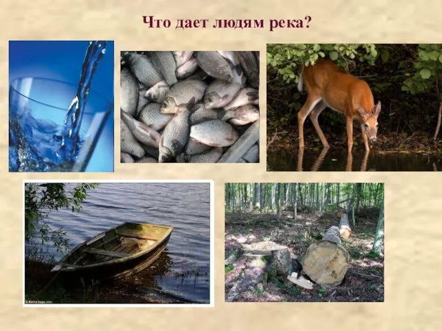 Что дает людям река?