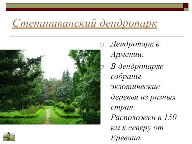 Степанаванский дендропарк Дендропарк в Армении. В дендропарке собраны экзотические деревья из разных