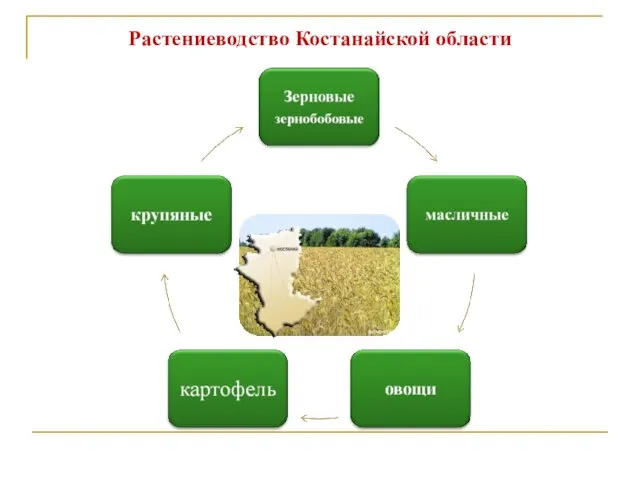 Растениеводство Костанайской области