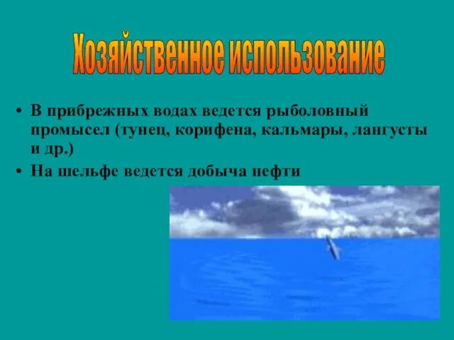 В прибрежных водах ведется рыболовный промысел (тунец, корифена, кальмары, лангусты и др.)