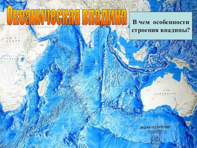 Океаническая впадина В чем особенности строения впадины?