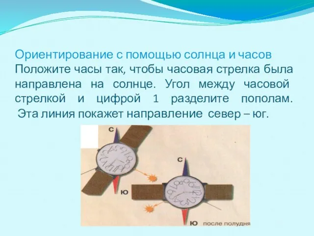 Ориентирование с помощью солнца и часов Положите часы так, чтобы часовая стрелка