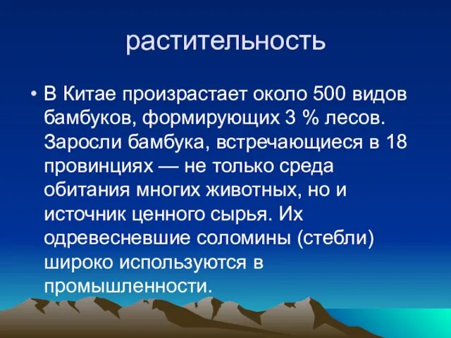 растительность В Китае произрастает около 500 видов бамбуков, формирующих 3 % лесов.